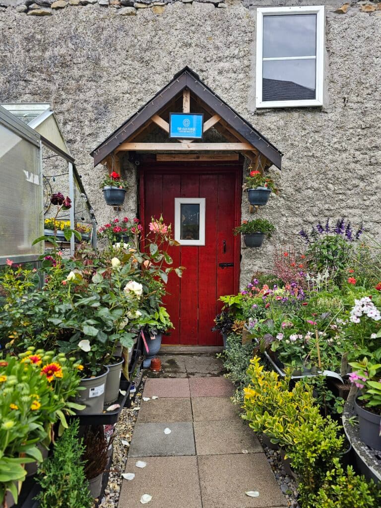 Spring Hand-Tied Bouquet