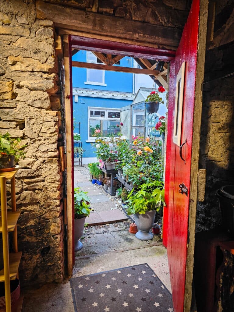 Living Wreath Making